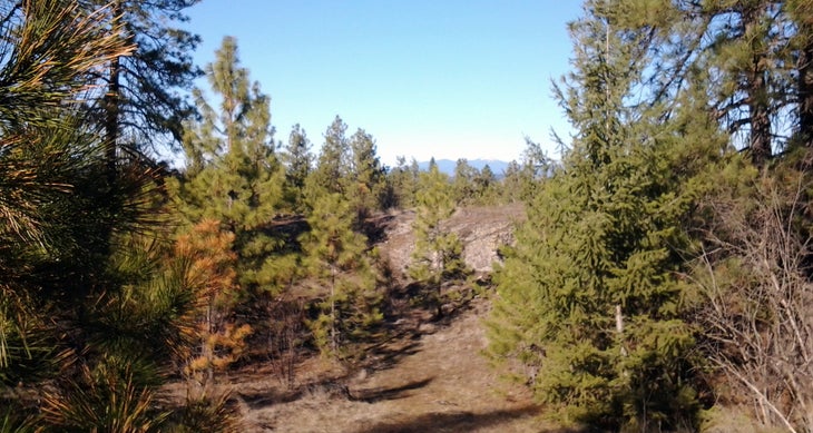 Distant Mt. Spokane Distant Mt. Spokane