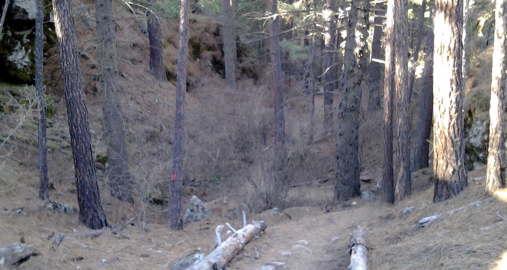 Entering the Enchanted Ravine Entering the Enchanted Ravine