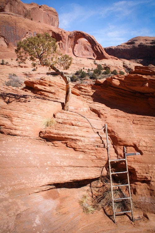 Ladder Ladder