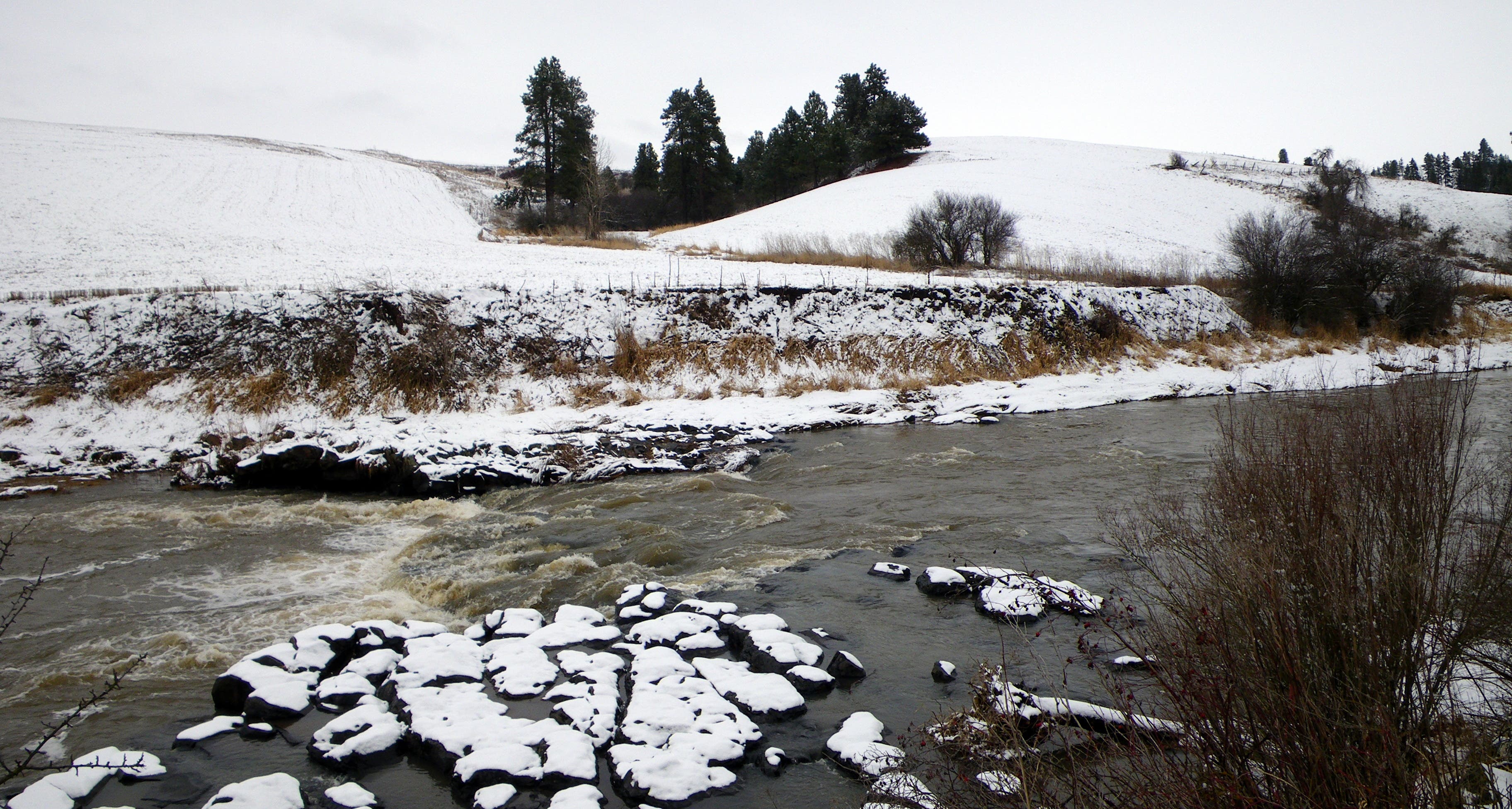 Palouse River rapids Palouse River rapids