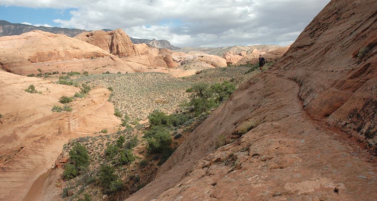 Vivid evidence of flash floods in the Kettle Country.
