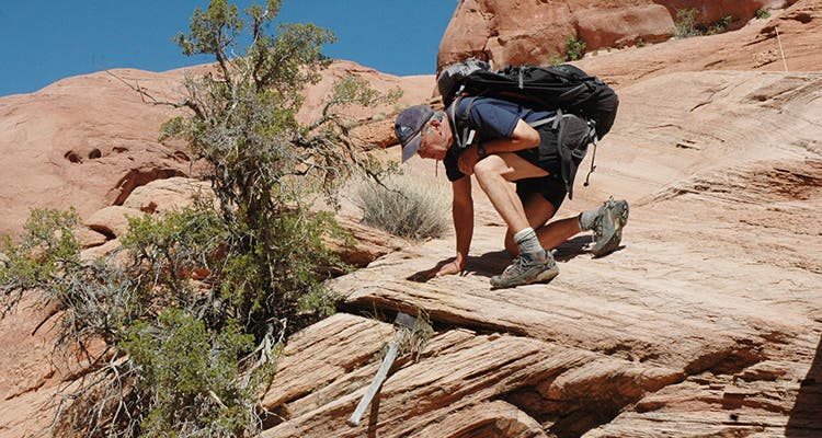 The finest of the three old hogans they found. Hoskinini's?