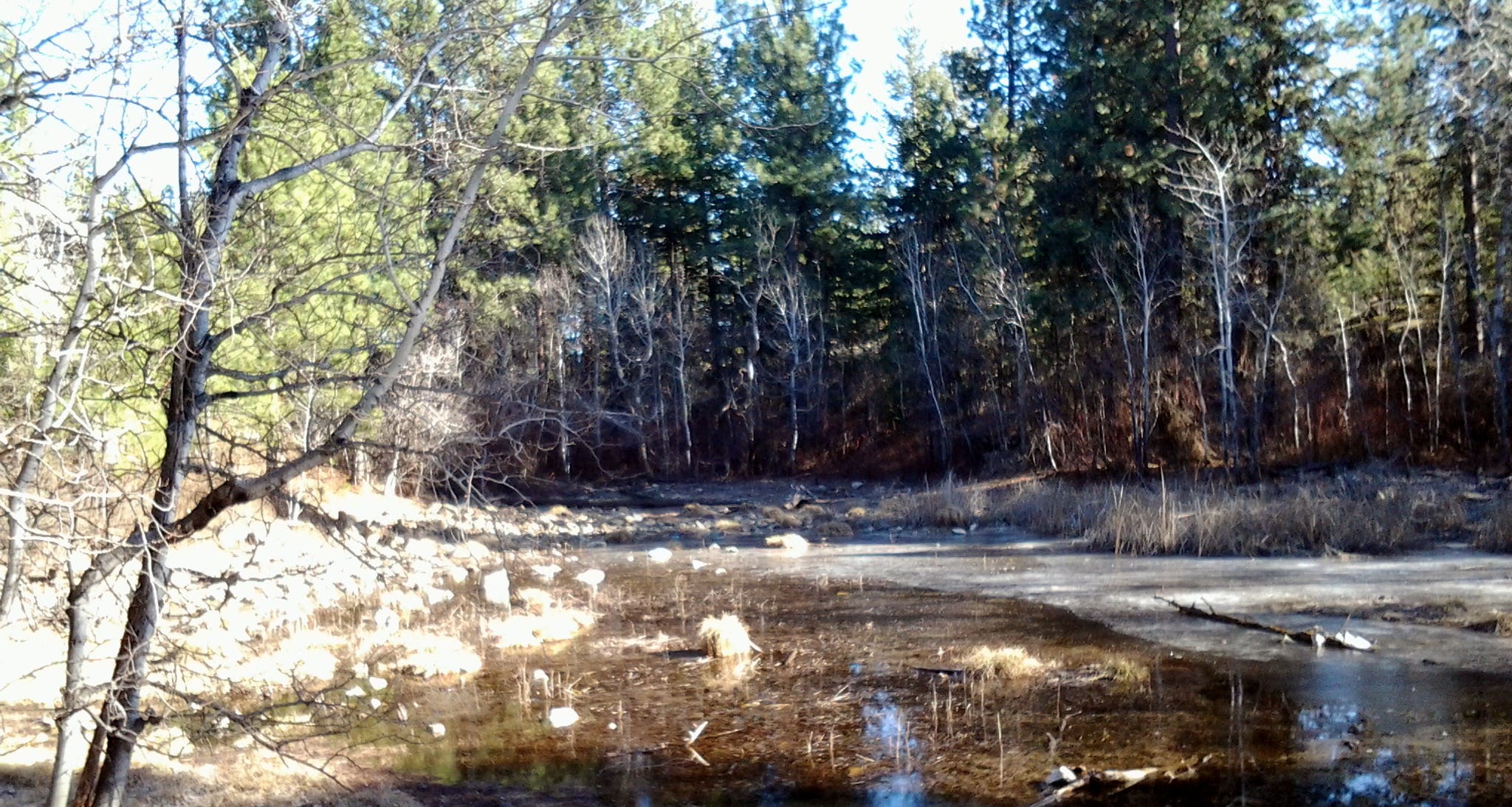 Small pond Small pond