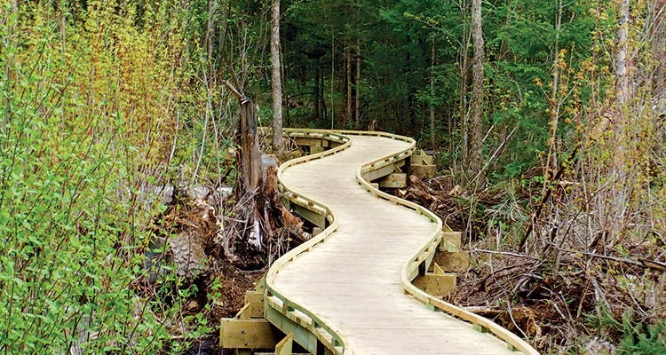 Boardwalk on the Plover River section of the Ice Age Trail