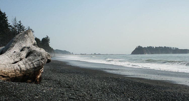 hike here, drink this