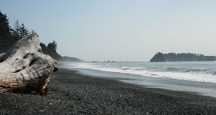 Beach Camp hike here, drink this