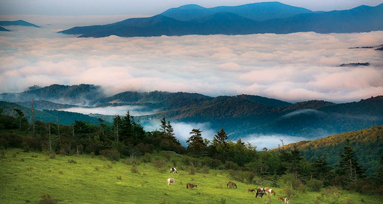 BP0615PLAY_Dean_Grayson_750x400 BP0615PLAY_Dean_Grayson_750x400