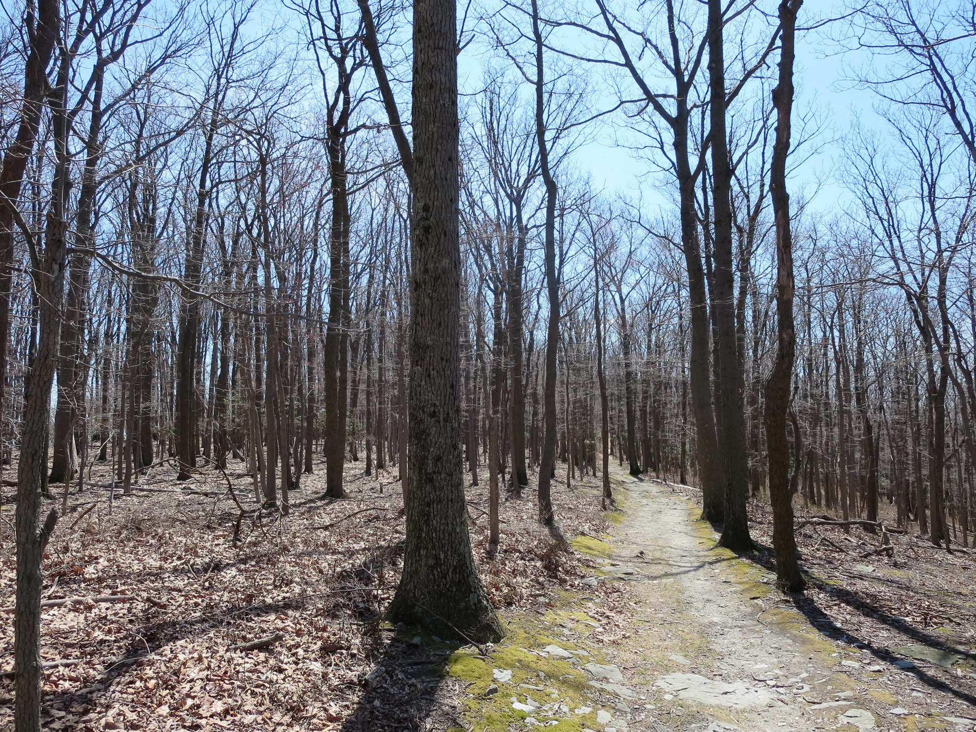 Catoctin Mountain Park [Photo by Matt Mills]