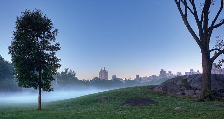 Central Park's North Meadow new york's best local hikes