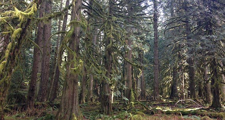 hike here, drink this