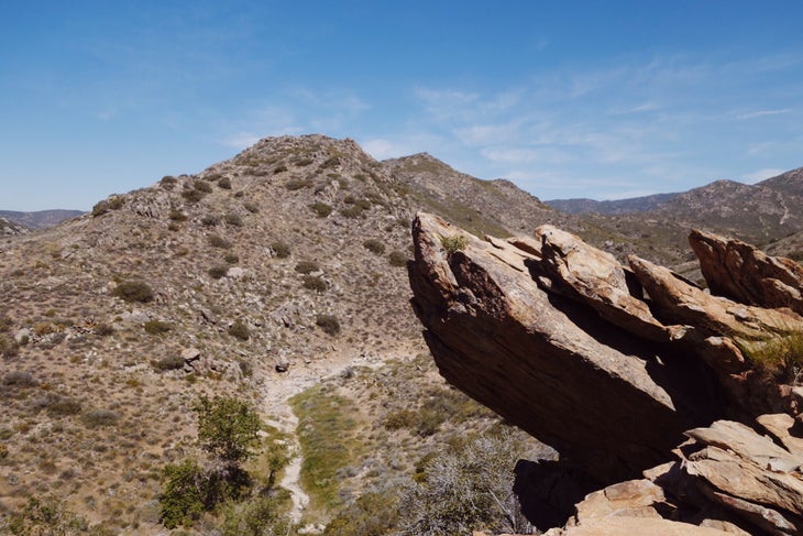 Desert Views The desert continues to surprise. Photo: Avry Martinson