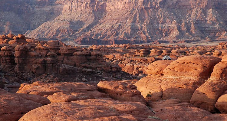 hike here, drink this