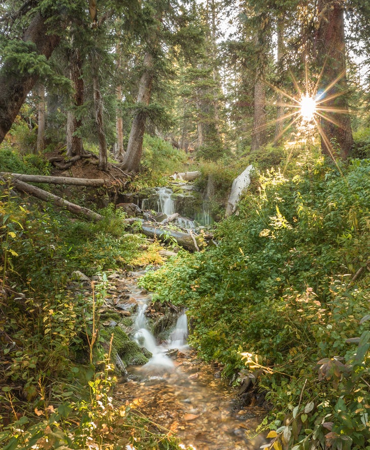 Sharkstooth Trail Stream La Plata Mountains - Sharkstooth Trail Stream
