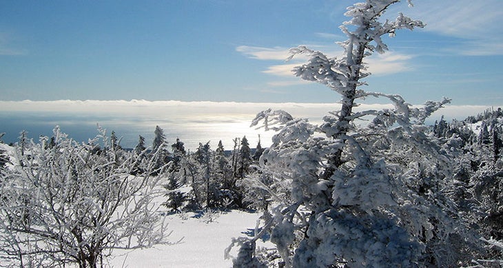 Snow hike here, drink this