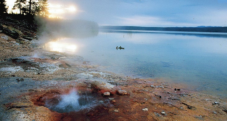yellowstone