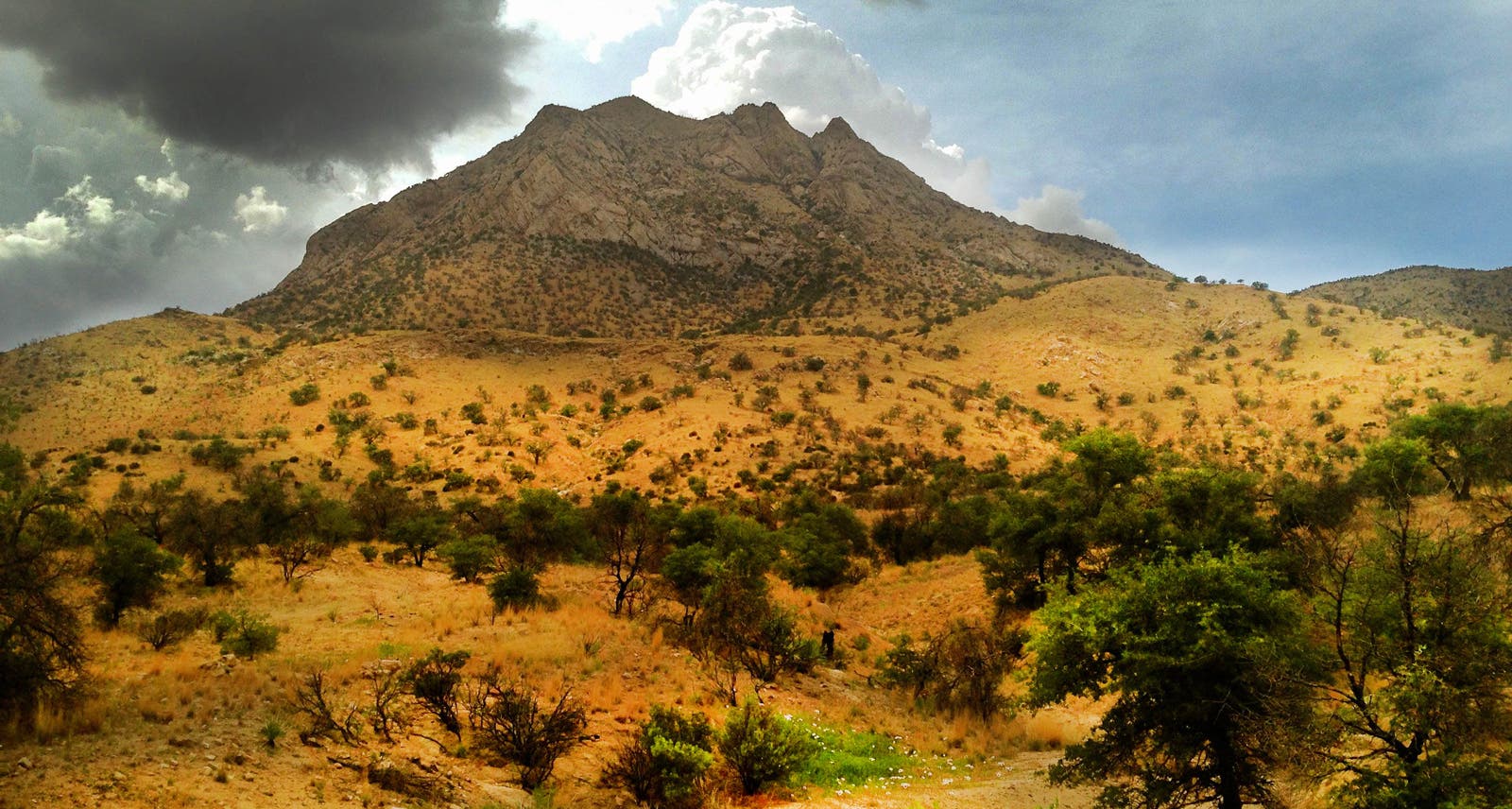 Coronado National Memorial, Arizona