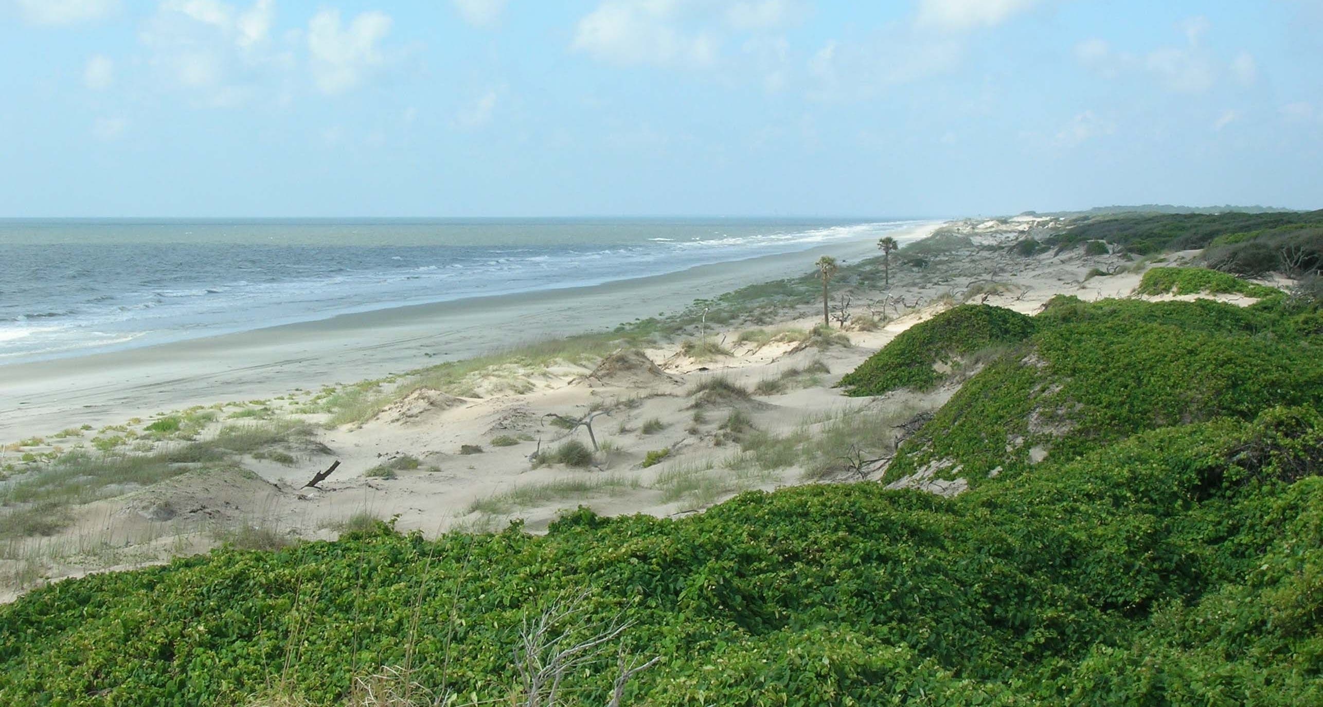Cumberland Island National Seashore, Georgia Cumberland Island National Seashore, Georgia