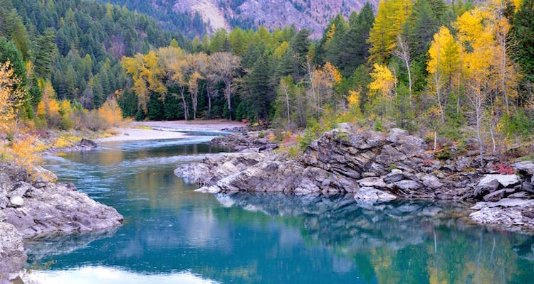 best glacier national park photos - Flathead river