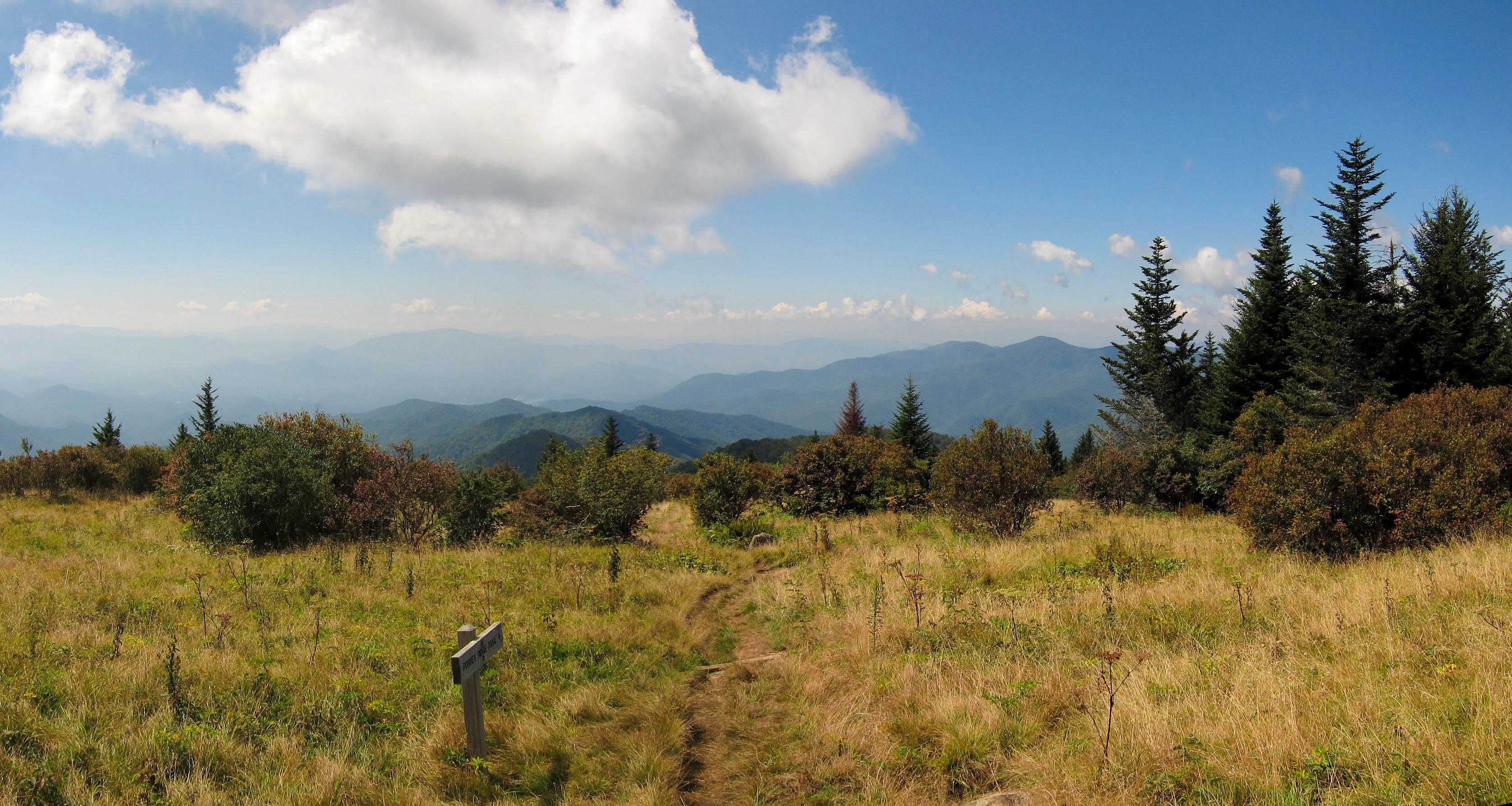 Great Smoky Mountains, Santeelah Lake