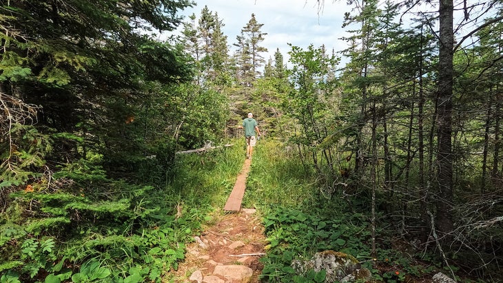 Single Man Walking Over a Bridge in the Forest