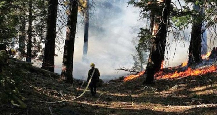 "photo: San Bernardino Fire Dept."