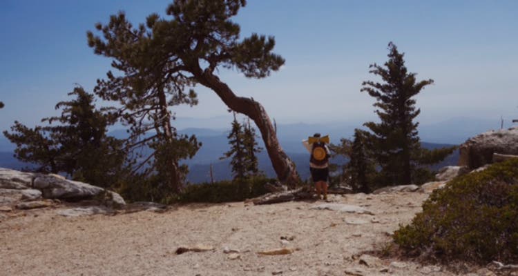 San Jacinto Heights I climbed from Idlywood