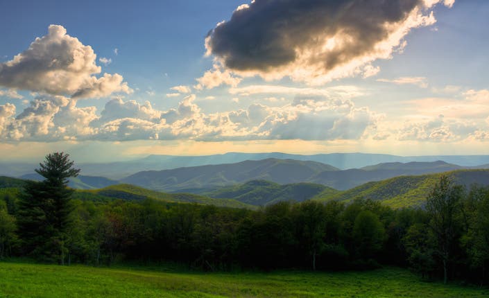 [photo: Curtis Martino / Flickr]