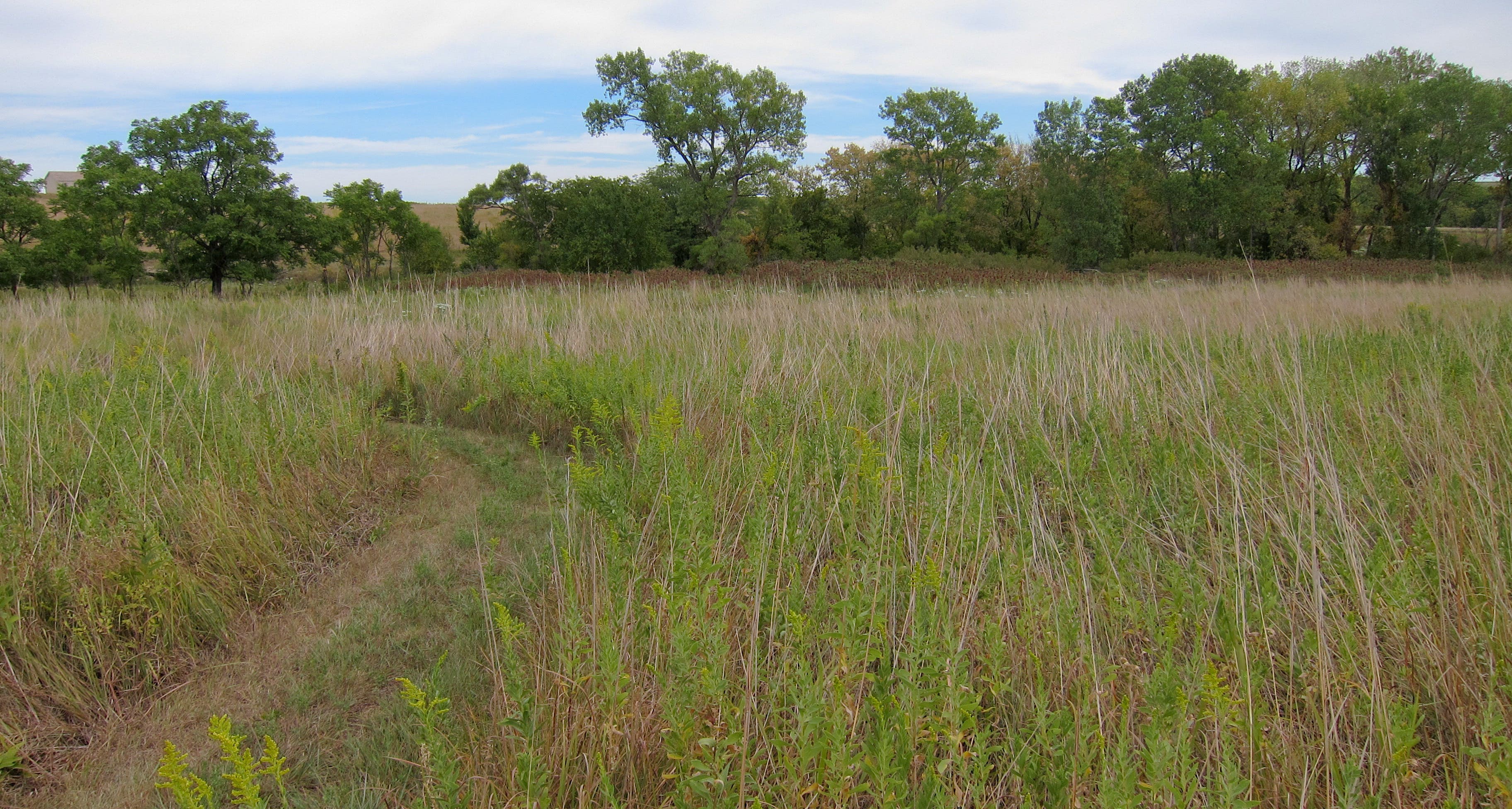 Tallgrass Prairie National Preserve, Kansas