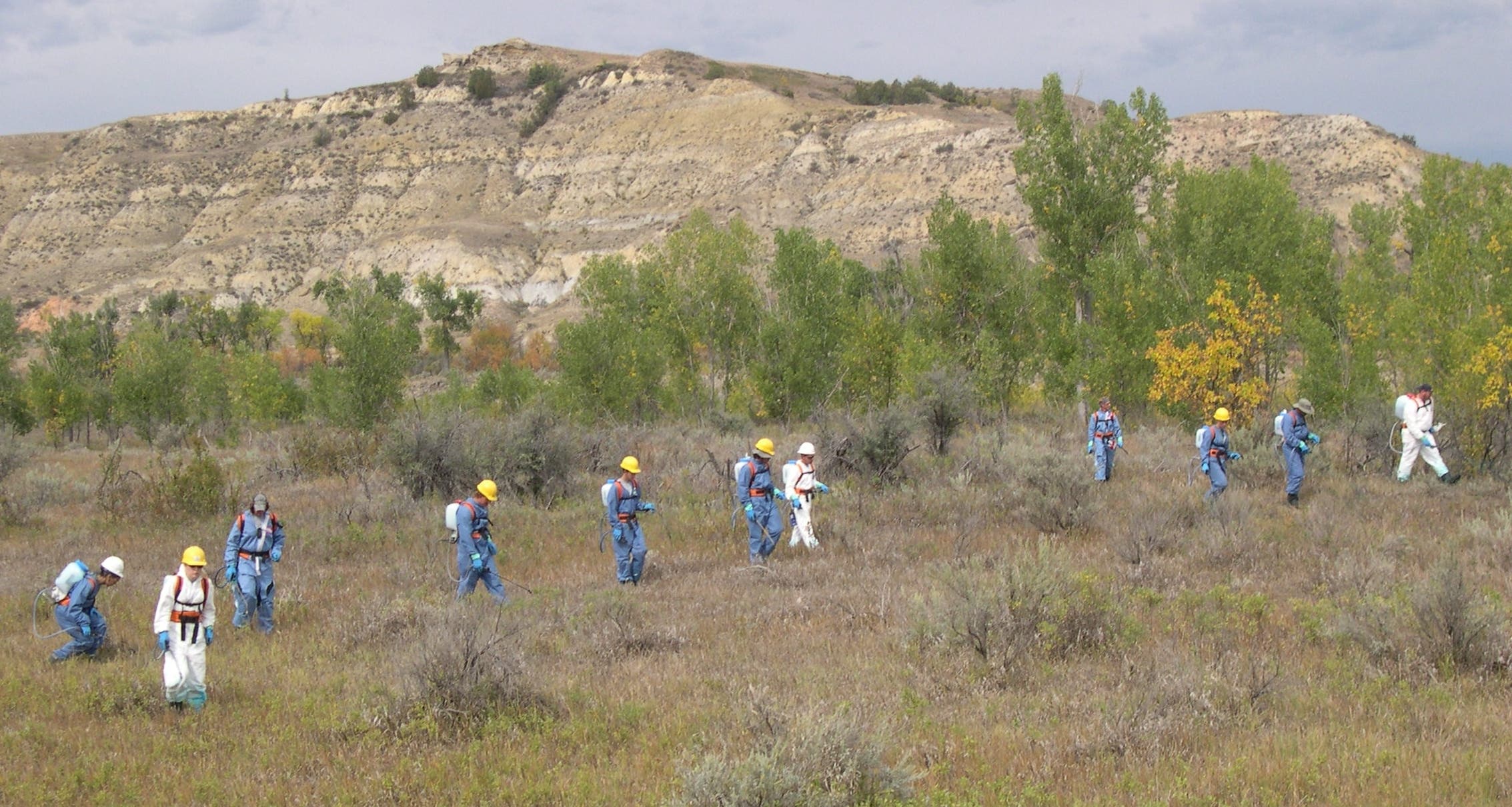 Weed sprayer Weed sprayer