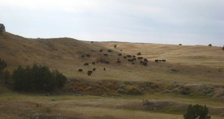 Sage Creek Trail to Deer Haven, Badlands National Park, South Dakota America's Best National Park Backcountry Campsites