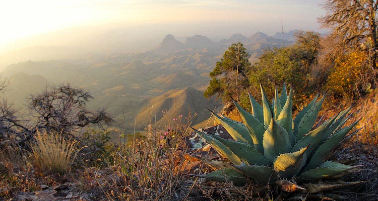 South Rim Trail, Big Bend National Park, Texas America's Best National Park Backcountry Campsites