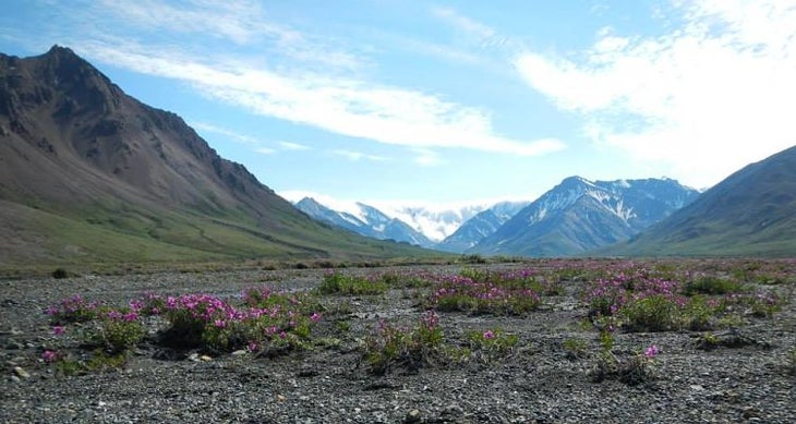 Upper Teklanika River, Denali National Park, Alaska America's Best National Park Backcountry Campsites