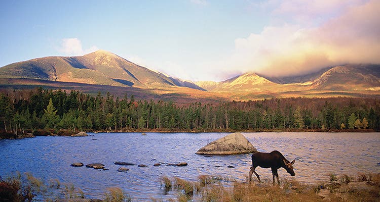 "Baxter State Park"