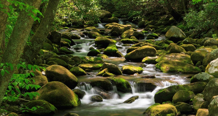 Hesse Creek, Great Smoky Mountains National Park, TN/NC