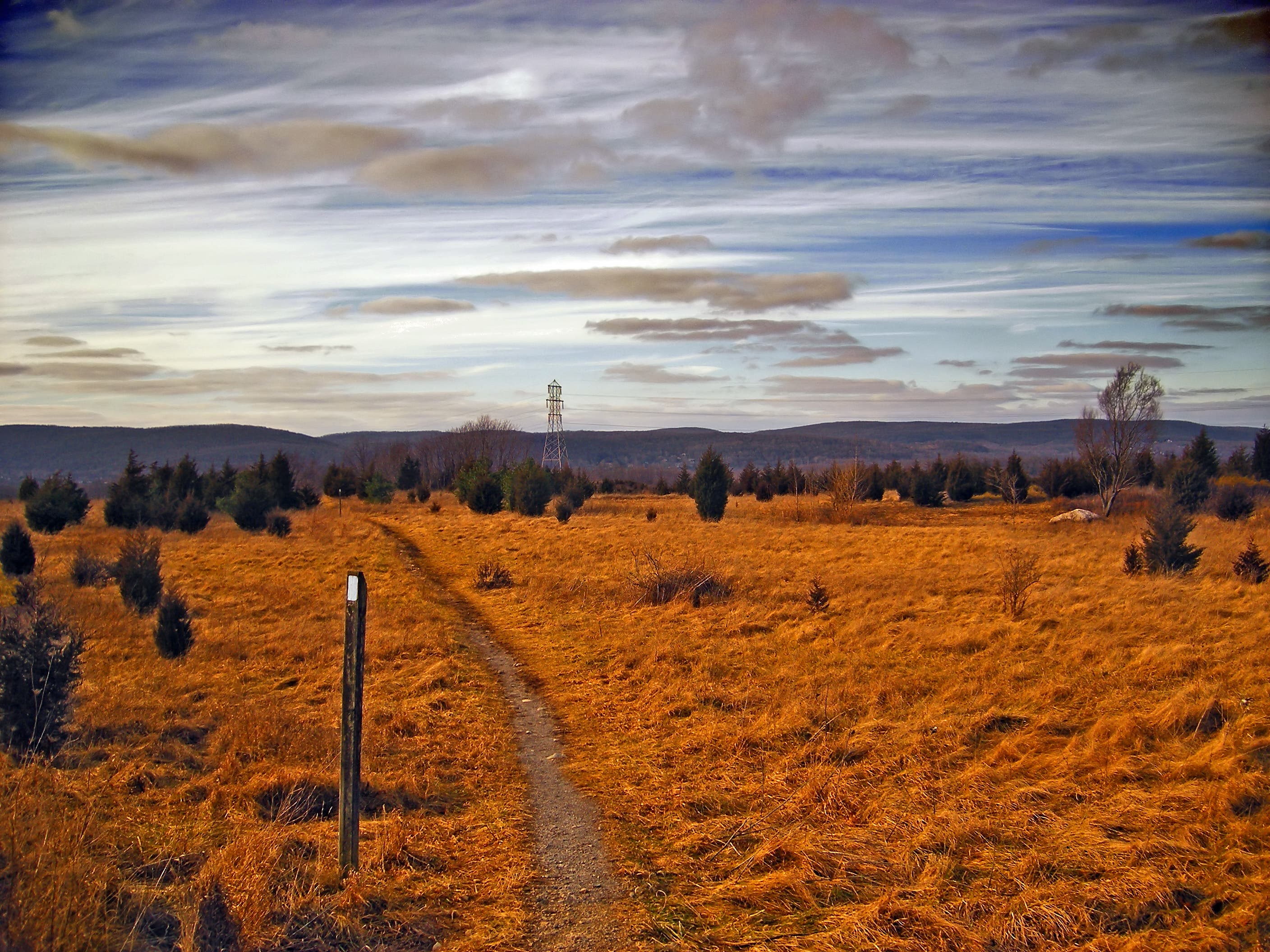 increasing AT hikers