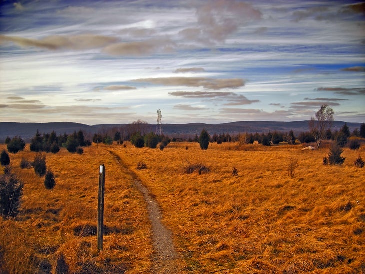 The Appalachian Trail increasing AT hikers