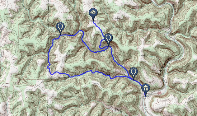 "Area B, Lost Maples"