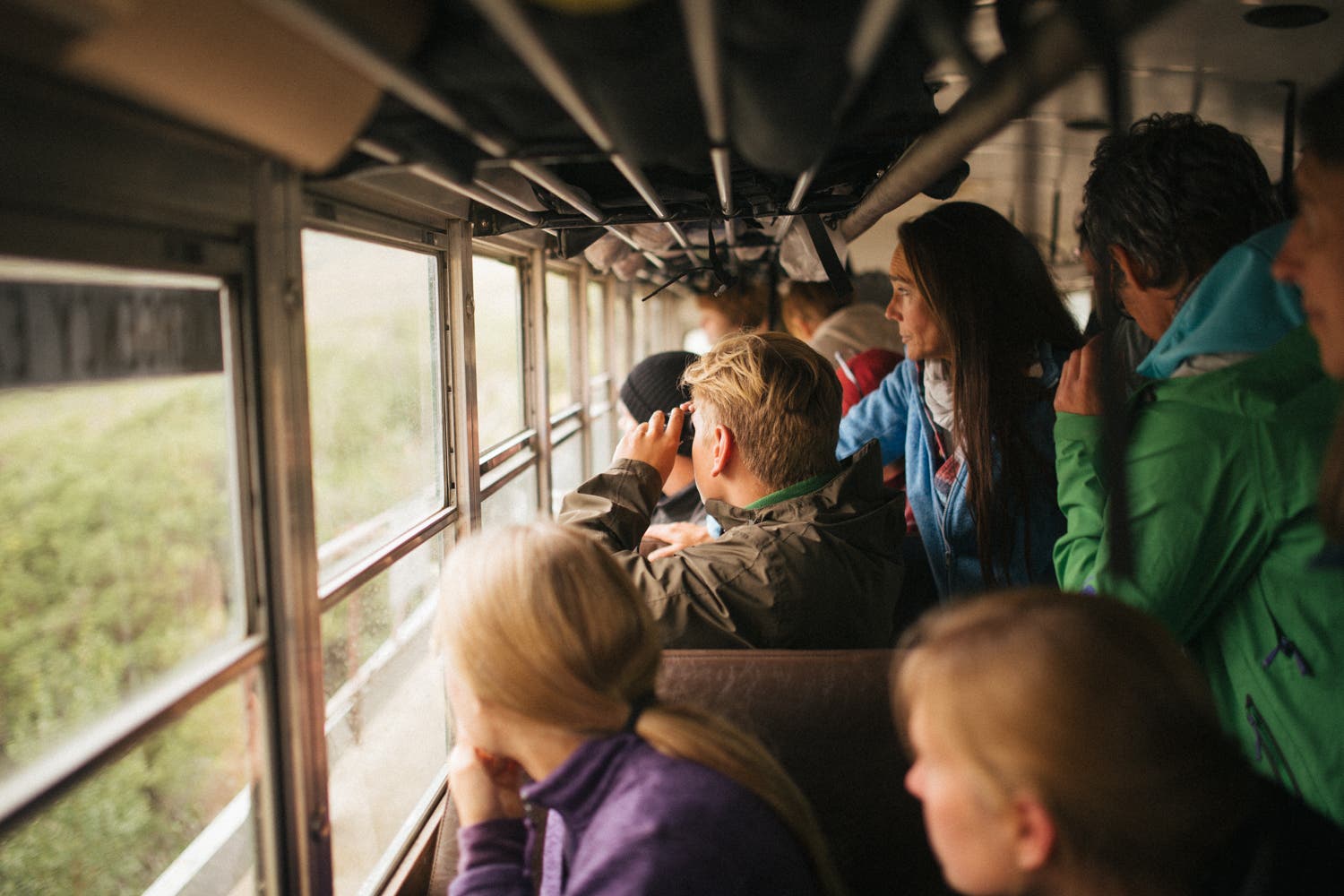 Denali National Park: Take the Bus Denali National Park: Take the Bus