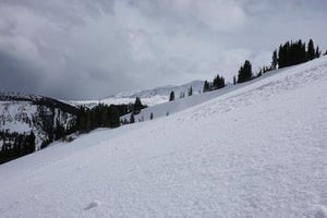 Editors' Choice Snow 2015: Marker KINGPIN
