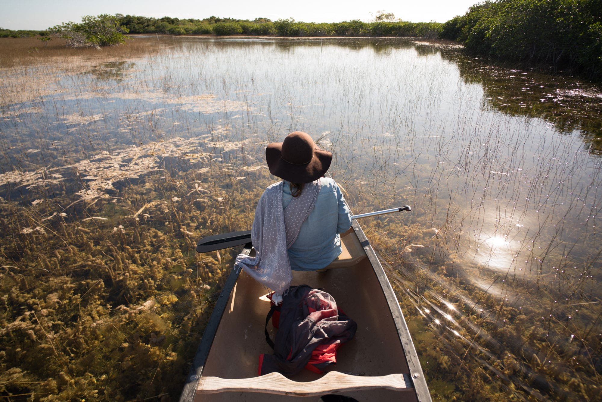 Everglades National Park