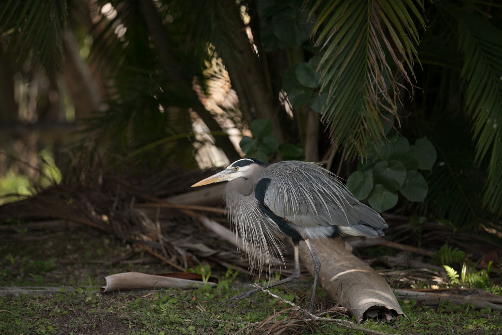 Everglades National Park