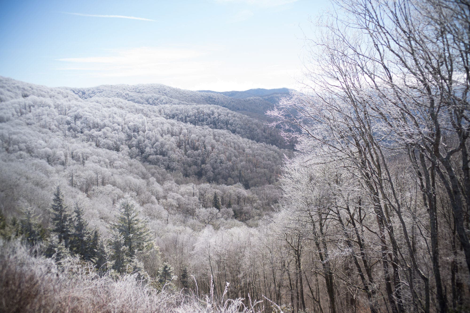 Great Smoky Mountains National Park