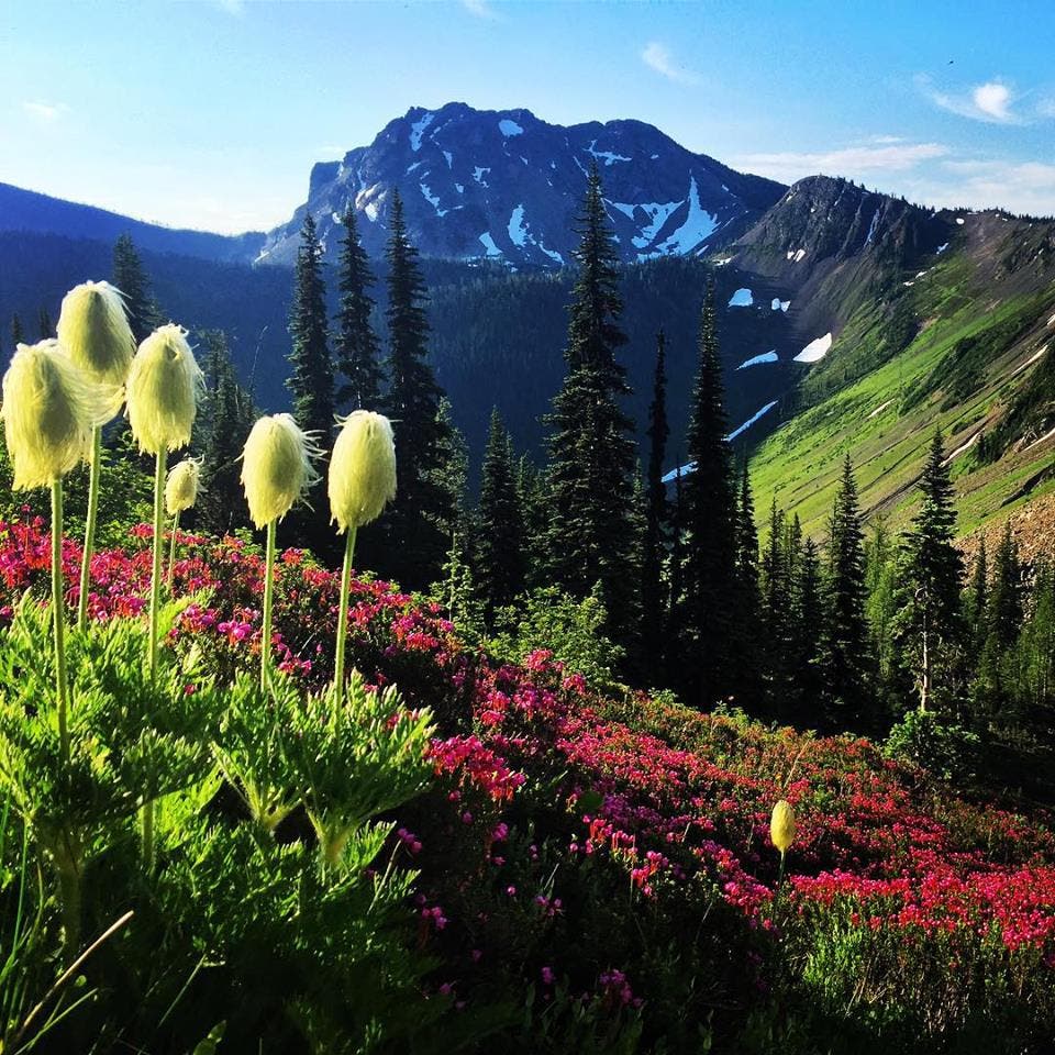 Oh the Places You'll Go!