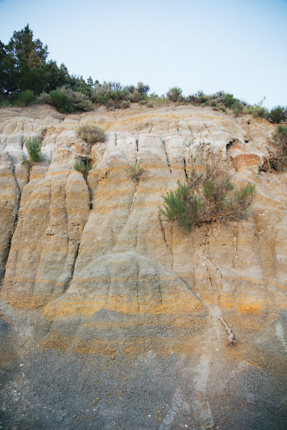 Theodore Roosevelt National: The Strata