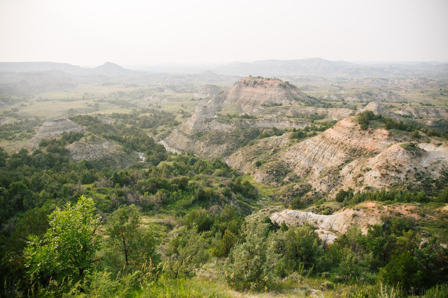 Theodore Roosevelt National Park: Valleys Theodore Roosevelt National Park: Valleys