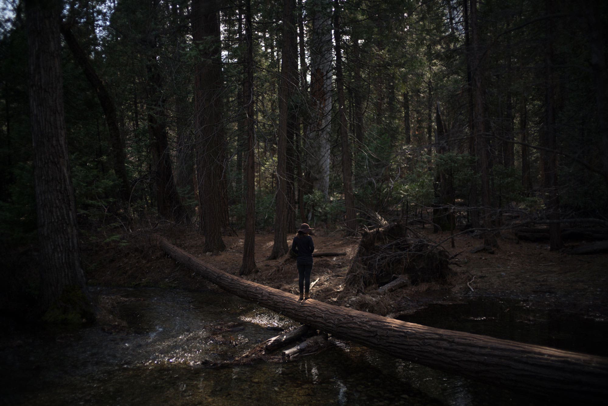 Yosemite National Park