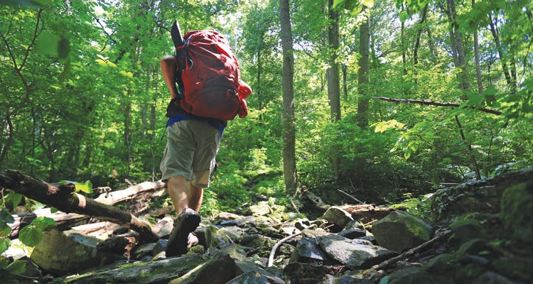 You hiked, you won A.T. in a day