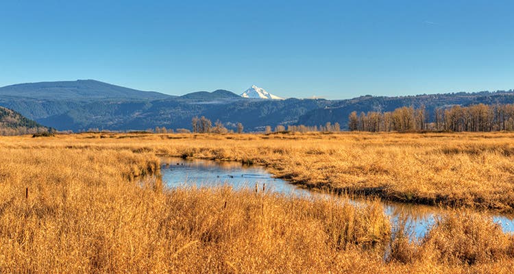 Gibbons Creek Wildlife Art Trail