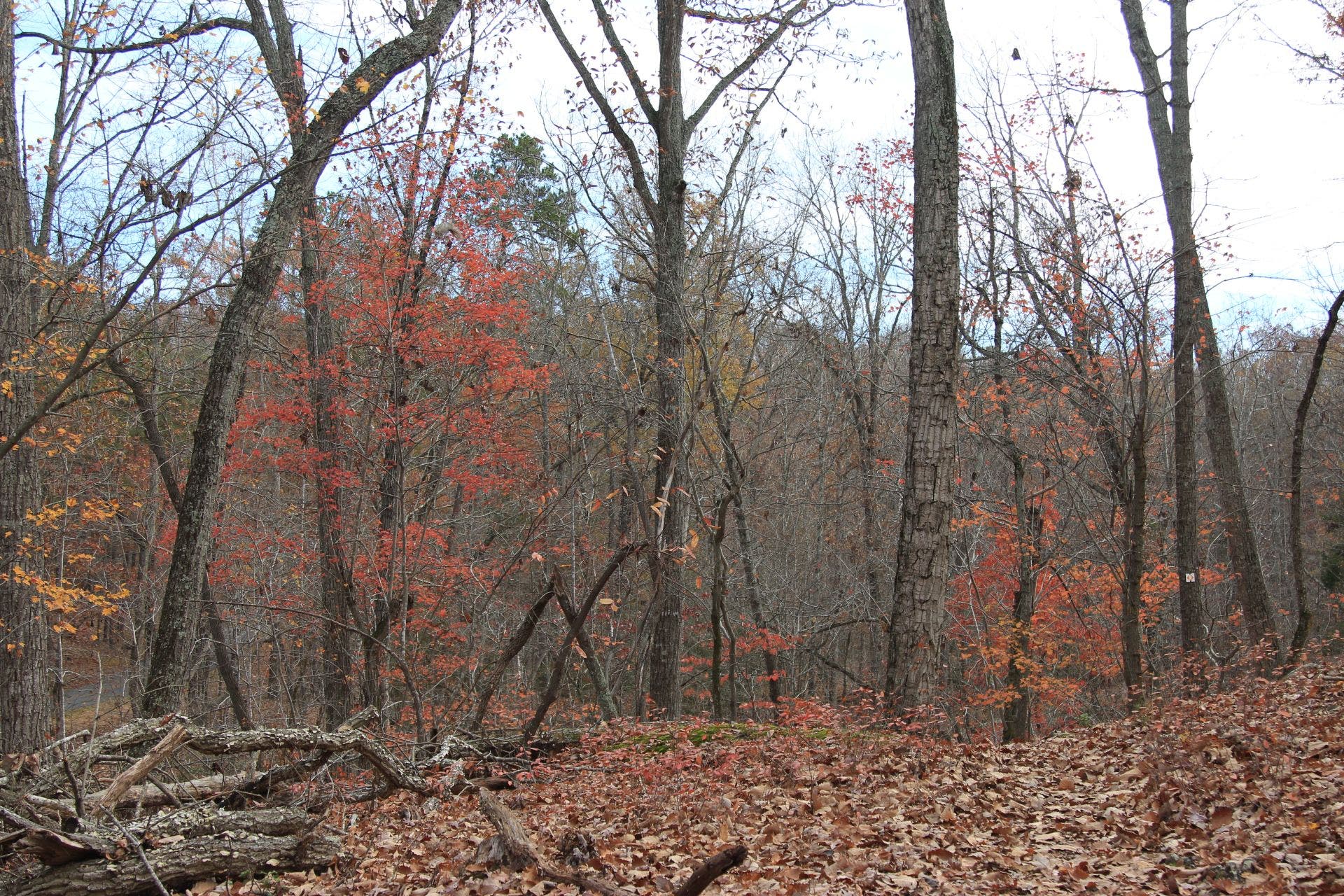 Enjoy the flat parts before it gets steep Enjoy the flat parts before it get steep