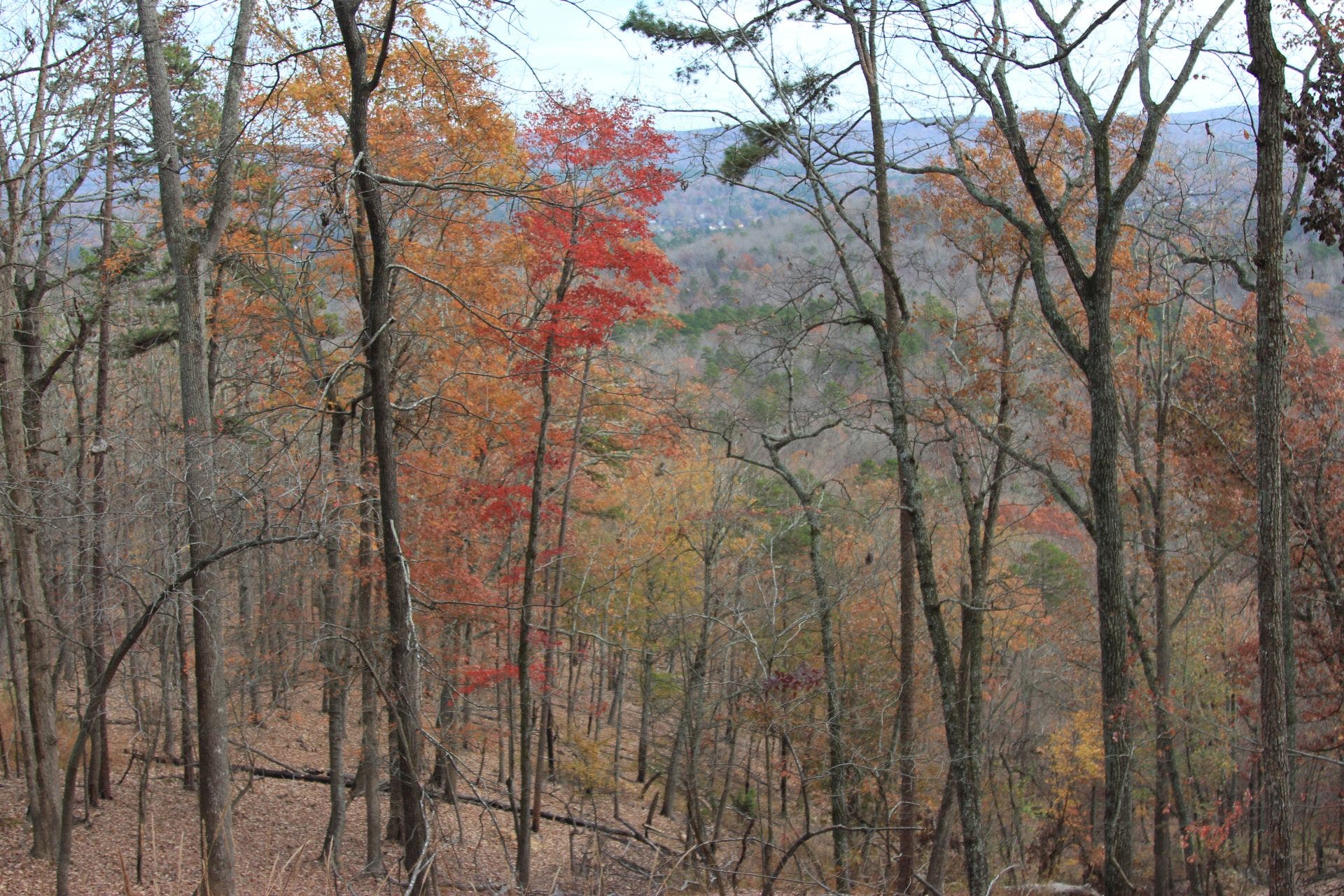 Indulge your inner child and slide down the leaves in the fall